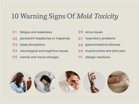 metallic taste in certain rooms of house|Mold Exposure Symptoms: 10 Signs You May Have Been .